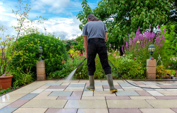 Best Soft Washing for Delicate Surfaces in Hillsboro, OH